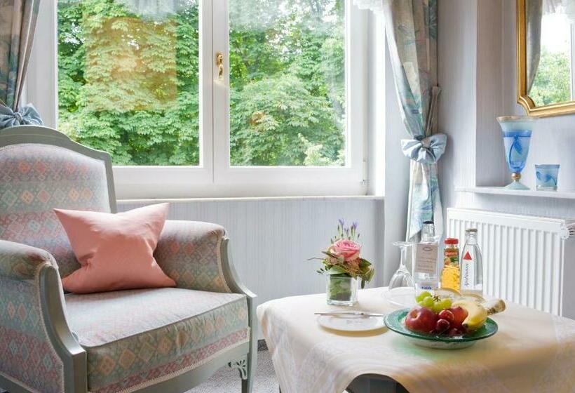 Номер Стандарт Индивидуальный, Privat Hotel Villa Aurora