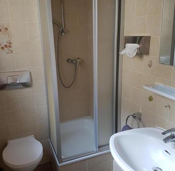 Номер Стандарт Индивидуальный с Балконом, Kurhotel Roswitha