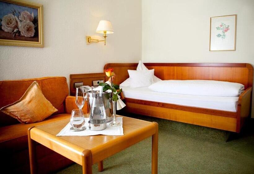 Номер Superior Одноместный, Kurhotel Roswitha