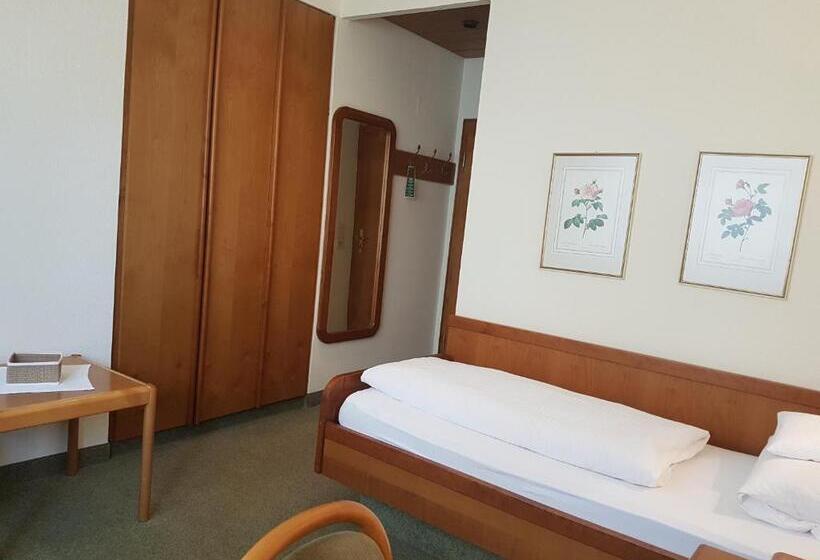 Номер Economy Индивидуальный, Kurhotel Roswitha