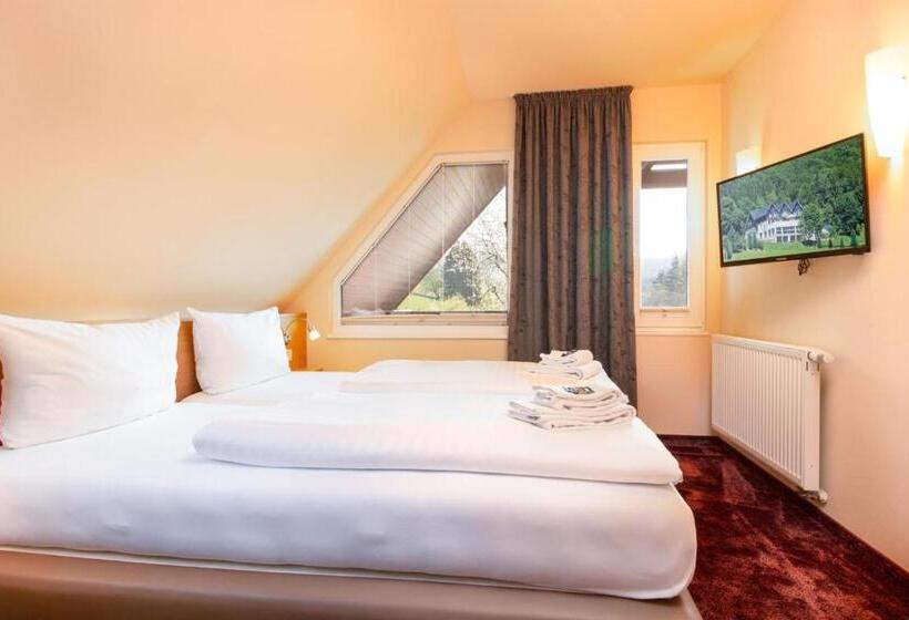 Номер Стандарт, Waldhotel Schinkenwirt