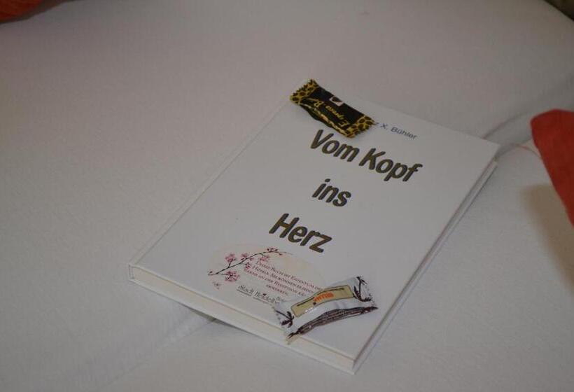스탠다드 싱글 룸, Stadt Heidelberg