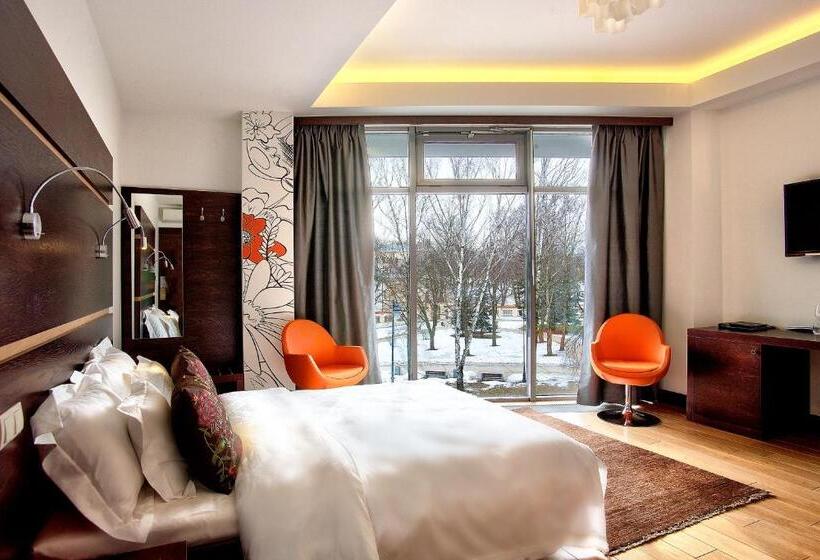 Номер Стандарт Индивидуальный, Boutiquehotel Aristo