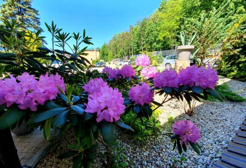 Номер Стандарт Вид на Озеро, Mazuria Country & Spa
