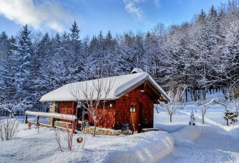 Апартаменты 1 Спальня, Haus Jägerfleck