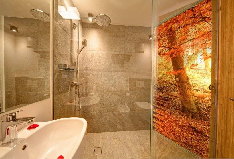 Номер Премиум, Mountain Design Hotel Edenselva