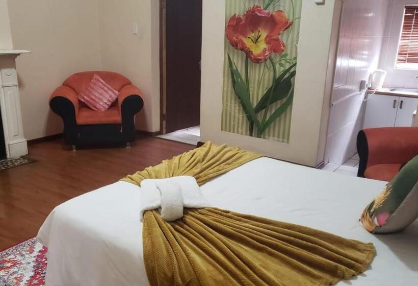 Номер Стандарт, 13 Maitland Road