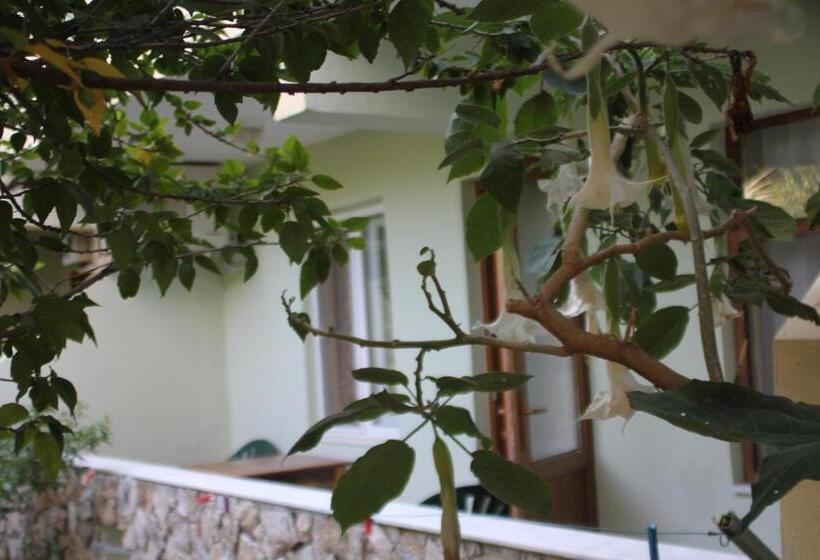 اتاق استاندارد, Cirali