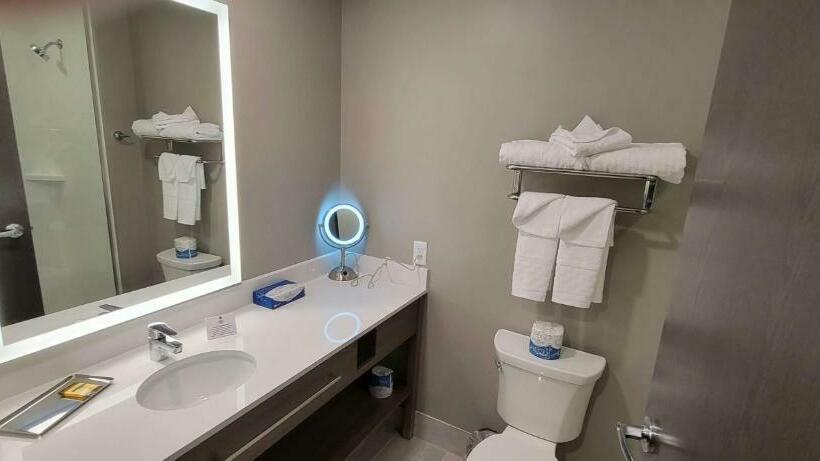 스탠다드 룸, Best Western Plus Grand Rapids Mn