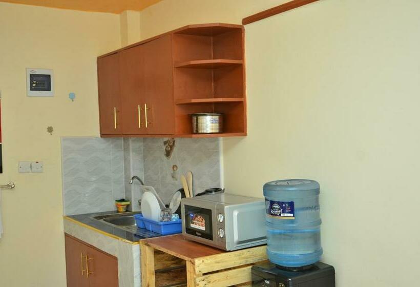 استودیوی استاندارد, Shalom Apartments