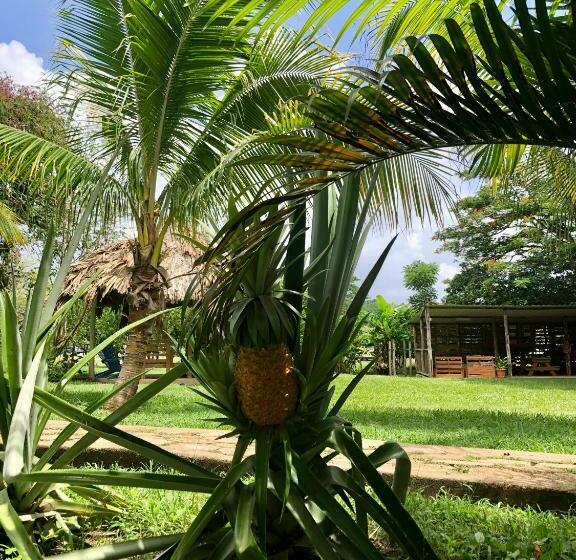 اتاق استاندارد, Mana Kai Camping & Cabins
