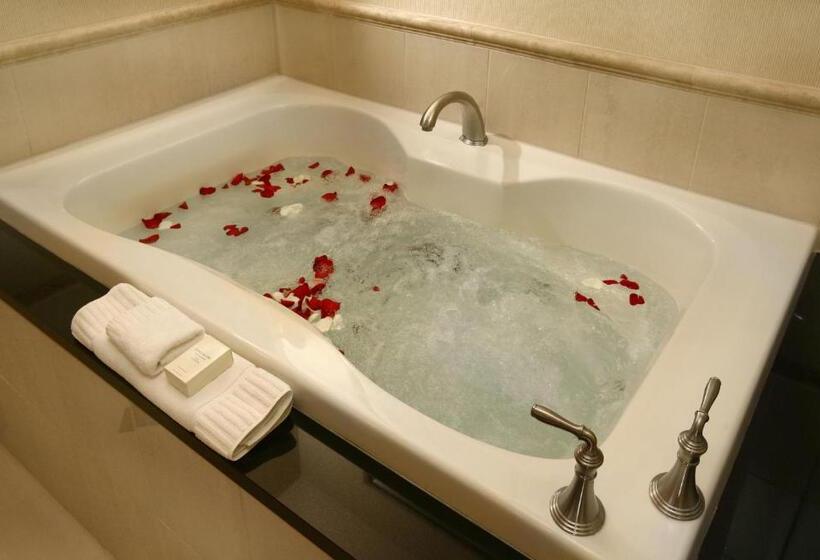 سوئیت جونیور با چشم‌انداز, Luxury Suites International At The Signature