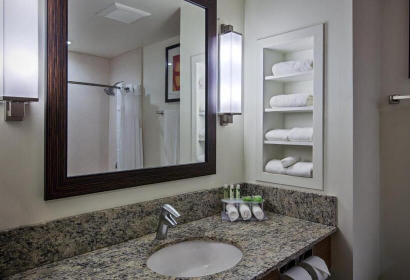 Номер Стандарт Адаптированный для Инвалидов, Holiday Inn Express & Suites Kailua Kona, An Ihg
