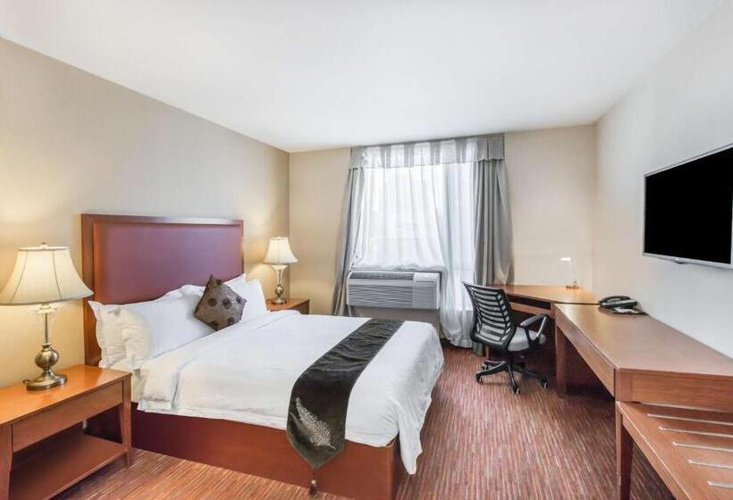 اتاق لوکس, Ramada By Wyndham Flushing Queens