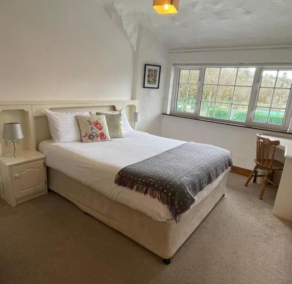 스탠다드 룸, Ryan's River Lodge B&b