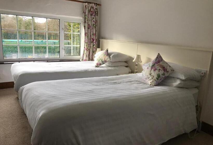 스탠다드 룸, Ryan's River Lodge B&b