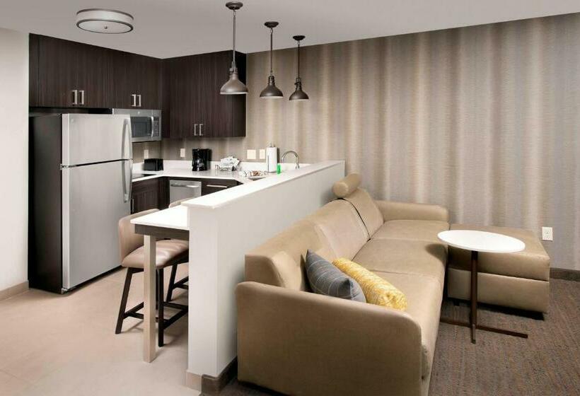 Люкс Кровать Кинг, Residence Inn By Marriott Tampa Wesley Chapel