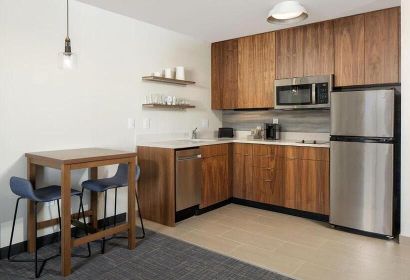 Люкс, Residence Inn By Marriott Tampa Wesley Chapel