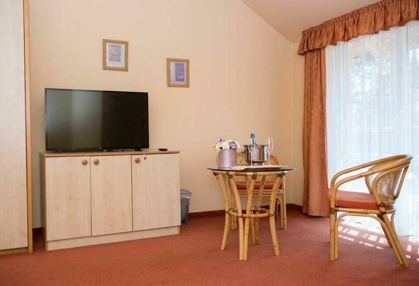 Номер Стандарт Индивидуальный, Termálhotel Martfű