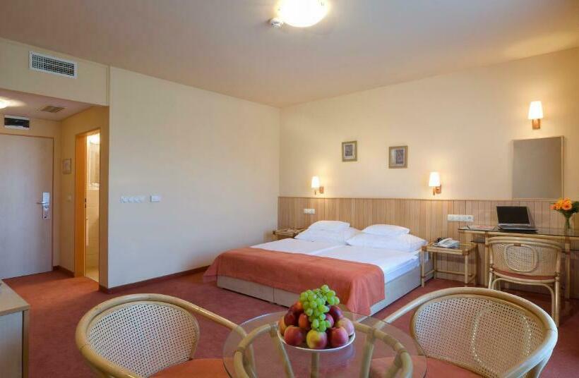 Номер Стандарт Индивидуальный, Termálhotel Martfű