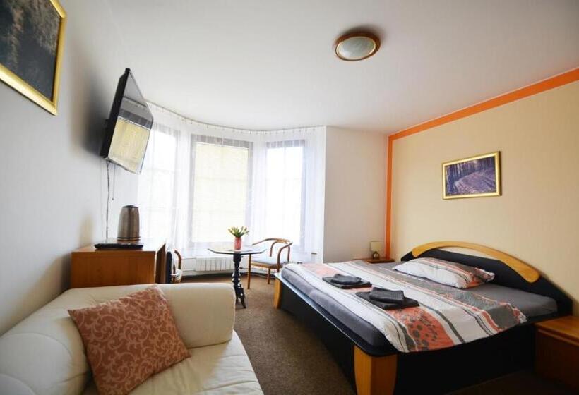 Номер Стандарт, Penzion Jany