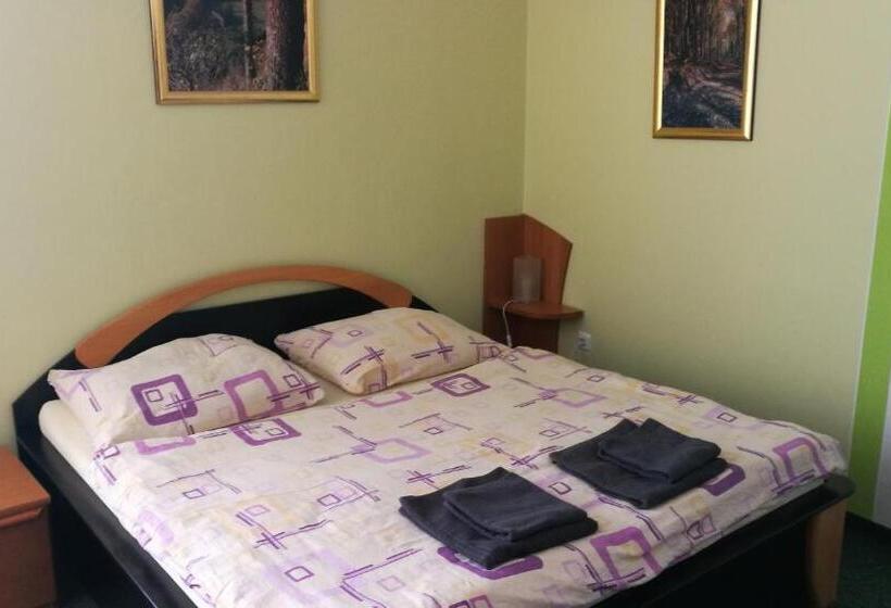 Номер Стандарт, Penzion Jany