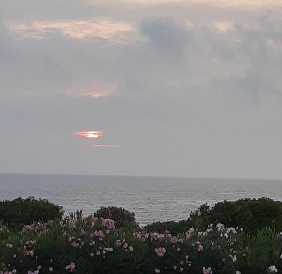 Семейный Номер, Guest House Al Mare