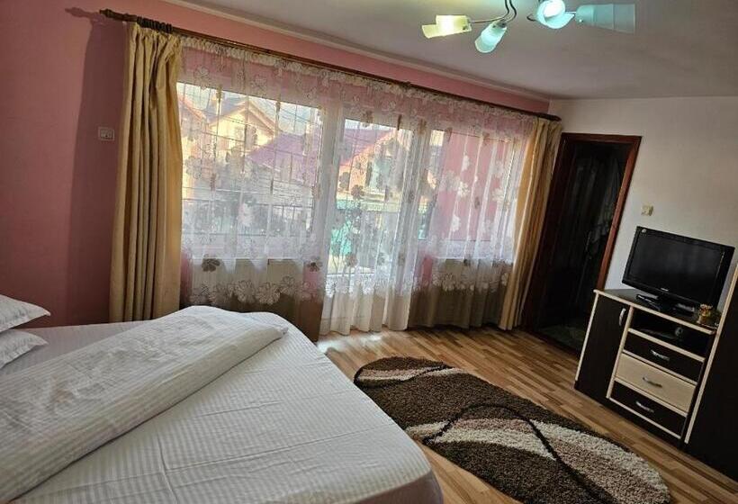 Номер Стандарт, Vila Vlăduț