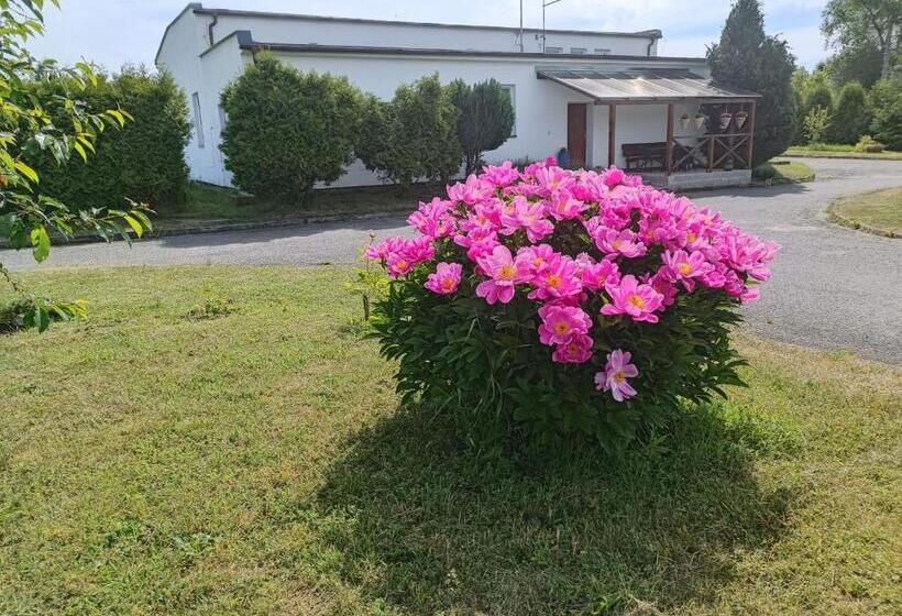 Семейный Номер, Penzion Kelčany U Kyjova