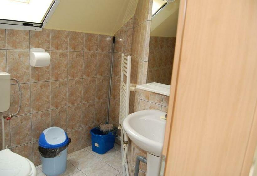 דירת שלושה חדרים, Pensiunea Gavruta