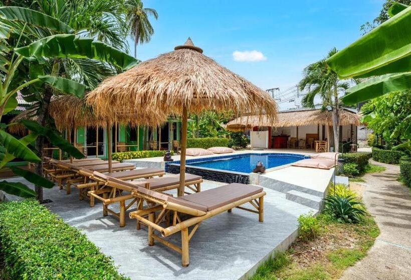 豪华房间, Avocado Koh Samui