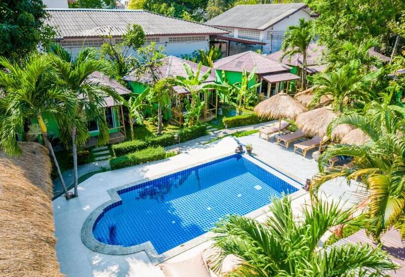豪华单人间, Avocado Koh Samui