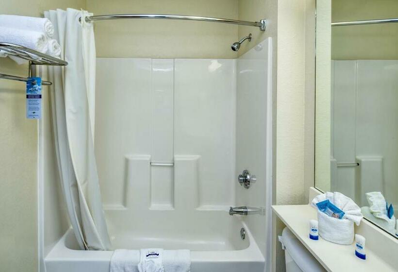 스탠다드 룸, Microtel Inn & Suites Leesburg