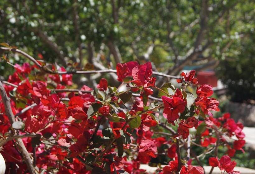 Номер Стандарт, Les Jardins De Santa Giulia   Charmante Chambre D Hôte 2