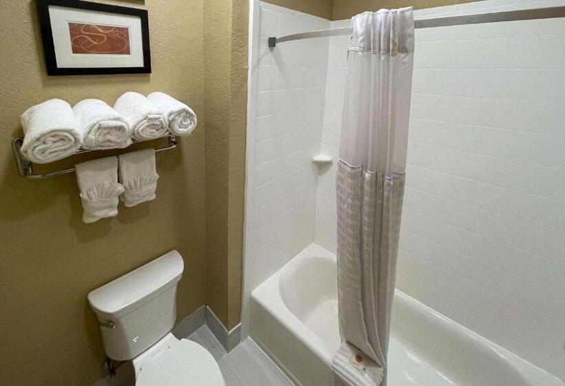 Люкс Кровать Кинг, Comfort Suites Near Seaworld