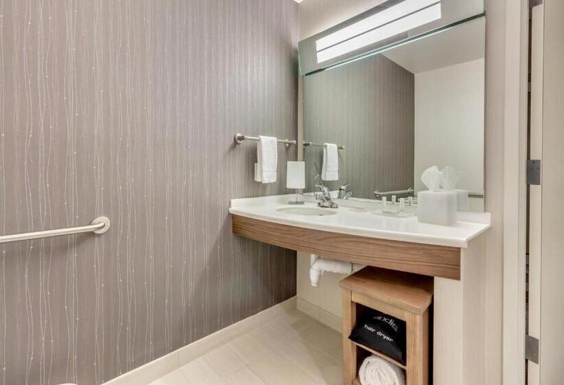 스탠다드 룸 킹사이즈 침대, Courtyard By Marriott St. Petersburg Clearwater/madeira Beach