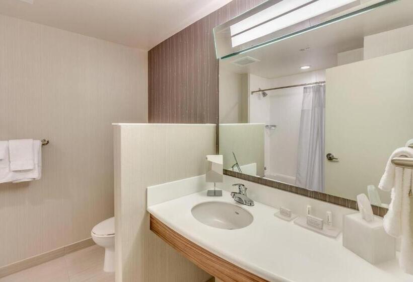 스탠다드 룸, Courtyard By Marriott St. Petersburg Clearwater/madeira Beach