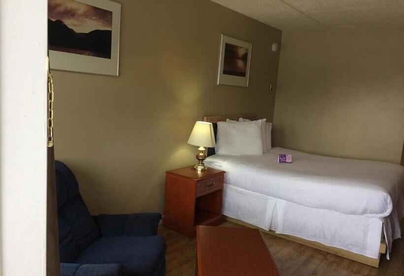 スイート, Nice Inn Edmonton