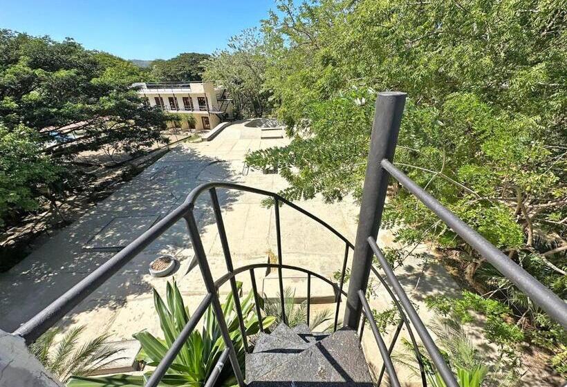 סטודיו דלוקס, Surf Ranch Hotel & Resort