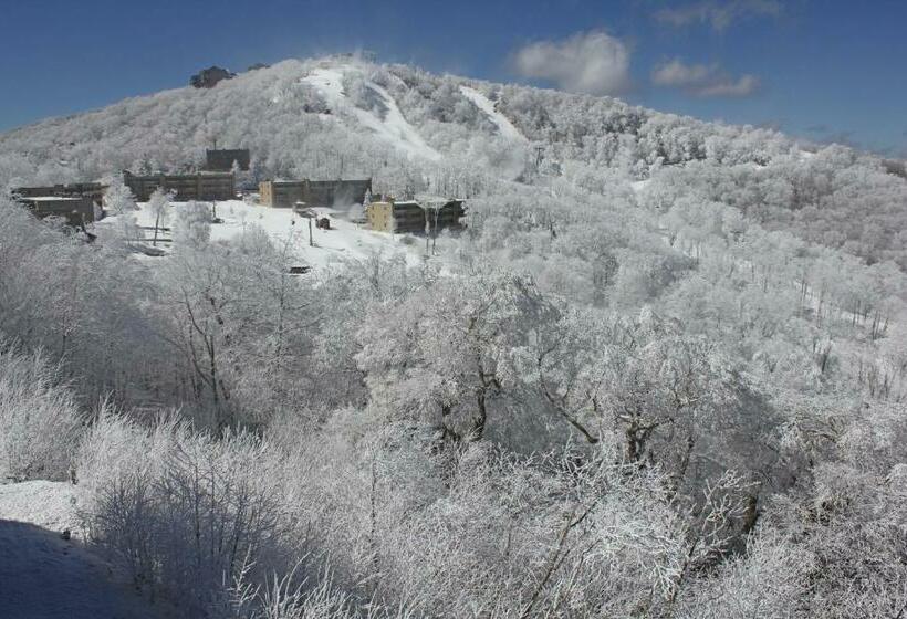 Студия Стандарт, Sugar Ski 11 202