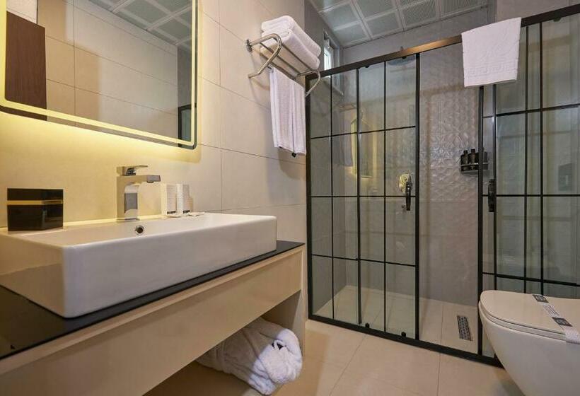 اتاق استاندارد, Trademark Collection By Wyndham Operla Airport Hotels