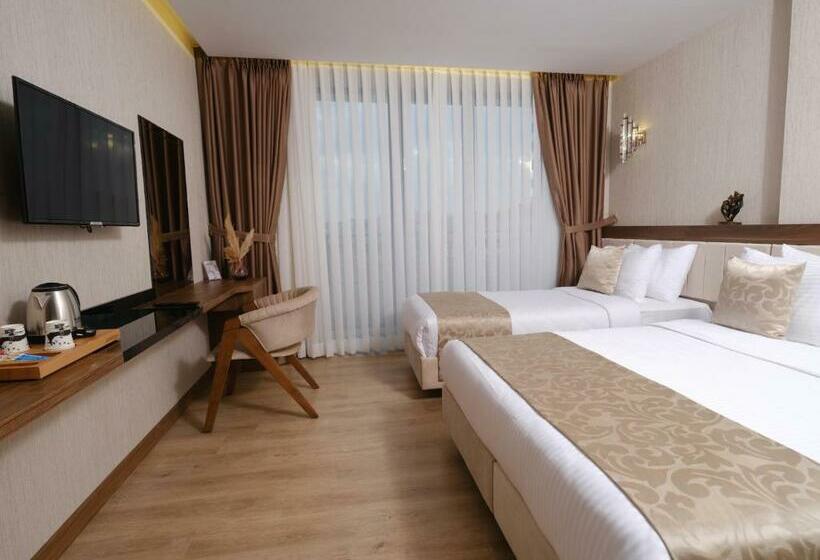 اتاق لوکس, Trademark Collection By Wyndham Operla Airport Hotels