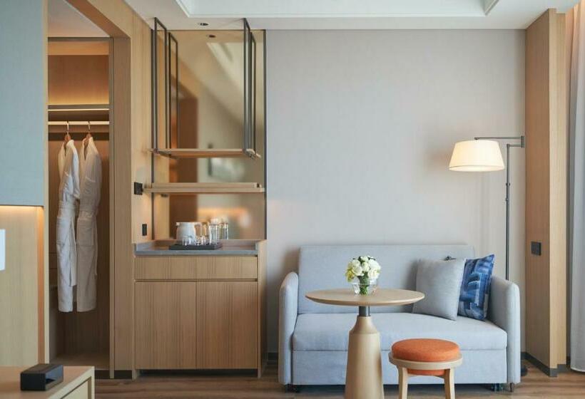 带城市景观的标准间, Hyatt Place Huangshan Train Station