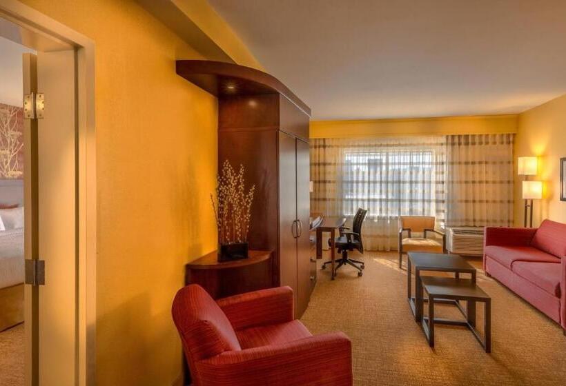 带大床的套房, Courtyard By Marriott Charleston Downtown/civic Center