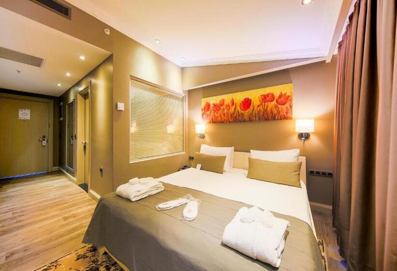 اتاق استاندارد یک نفره, Doğa Thermal Health & Spa