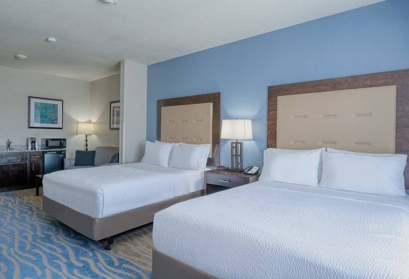 장애인을 위한 스위트, Holiday Inn Express And Suites Edwardsville, An Ihg