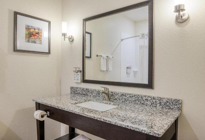 Стандартный Номер Кровать Кинг, Holiday Inn Express And Suites Edwardsville, An Ihg