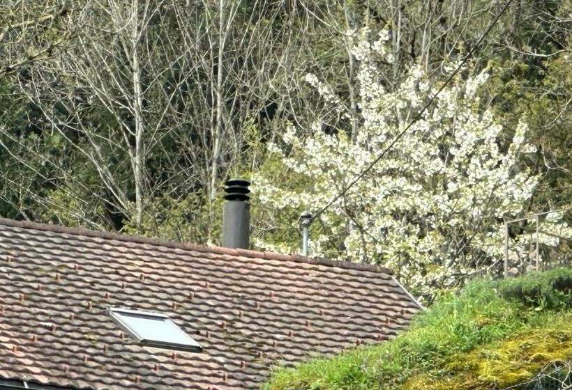 آپارتمان 1 خوابه با چشم‌انداز باغ, Les Quatre Saisons   Balcon Et Jardin