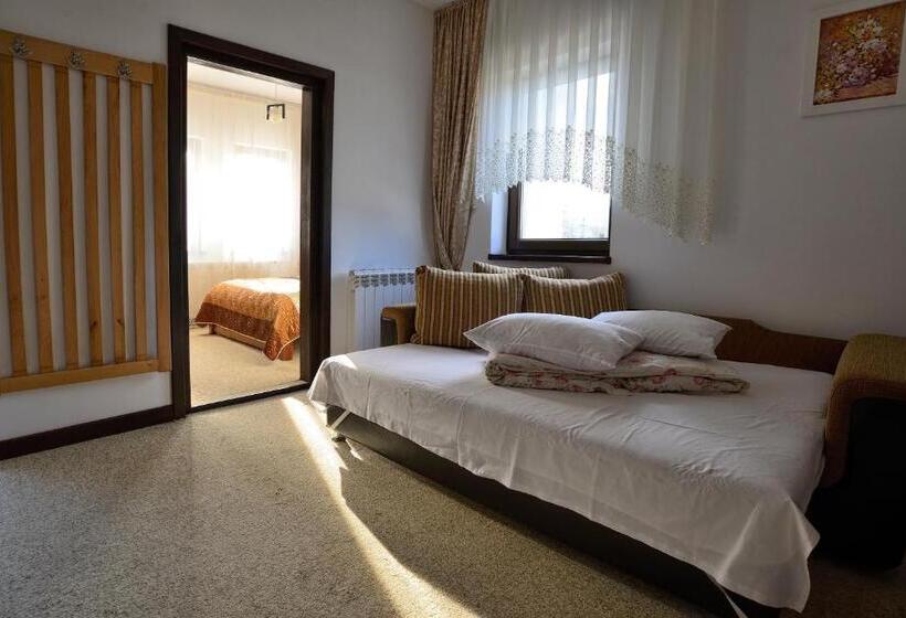 Люкс, Pensiunea Casa Elvira