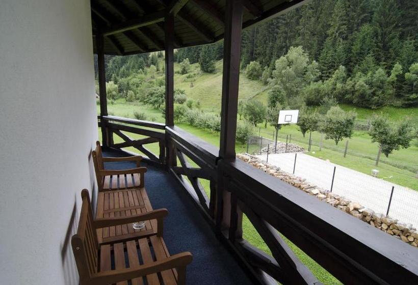 Люкс, Pensiunea Casa Elvira